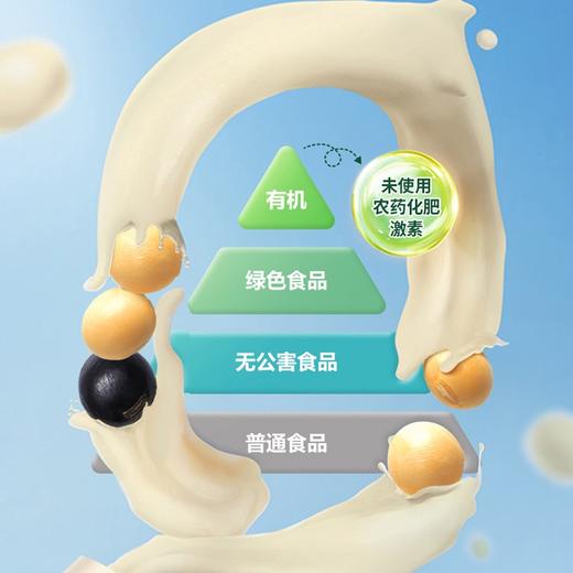 有机黑豆纯豆浆粉 商品图3