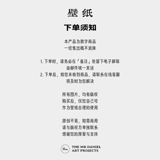 FOLLOW THE TRUE LIGHT 版画壁纸（电子版） 商品图7