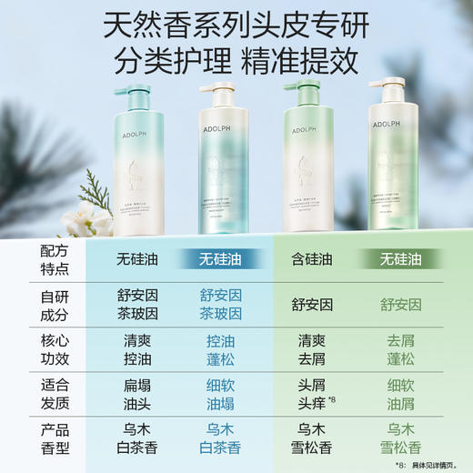 [王一博推荐] 天然香全新无硅油系列香氛洗发露400ml/618ml  祛屑控油蓬松 商品图5