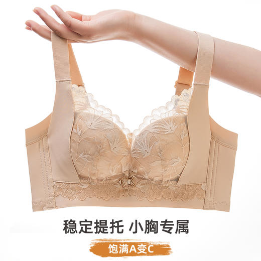 雅黛俪女士文胸小胸聚拢显大调整型内衣性感蕾丝2026年新款春季 商品图4