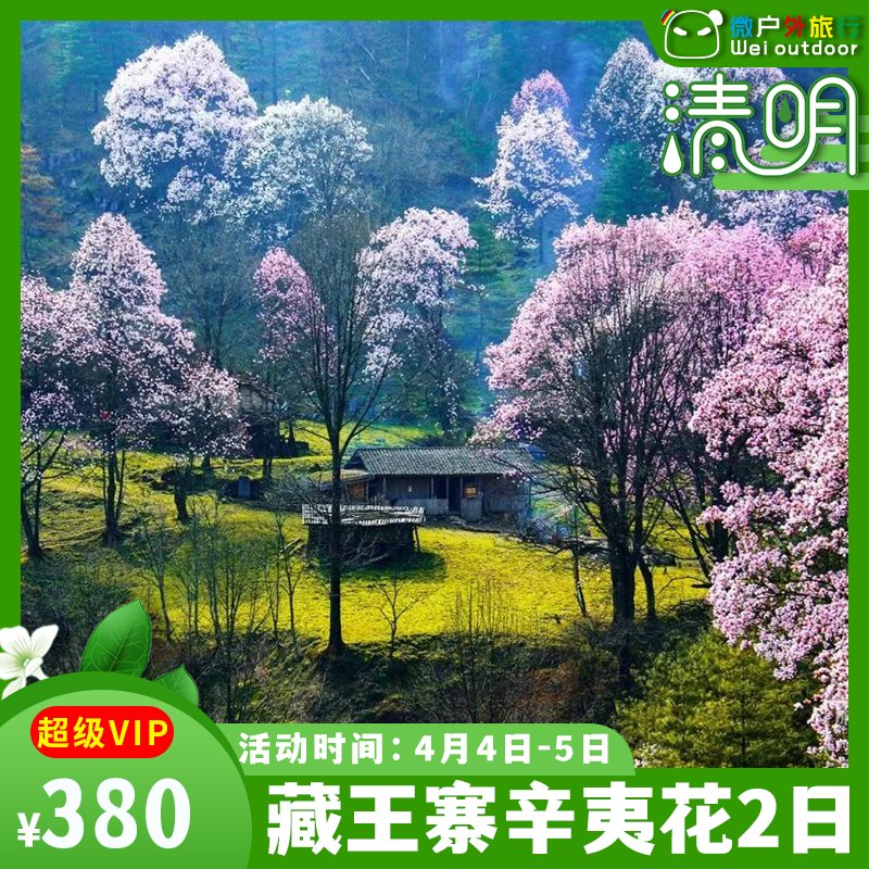 【清明丨藏王寨辛夷花】（4.4-5）原始秘境，被遗忘的辛夷花童话世界