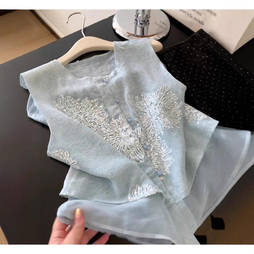 国风别致设计款上衣 今年流行 漂亮别致独特绝美 时尚小众设计 高奢百搭宽松蓝色上衣夏 商品图1