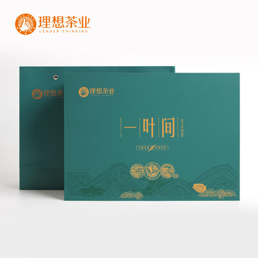 一叶间·安吉白茶2200 商品图9