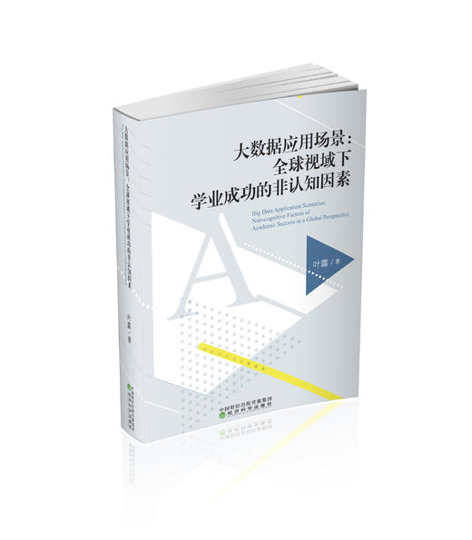 大数据应用场景：全球视域下学业成功的非认知因素 商品图0