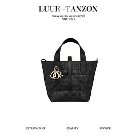 迪奥 25早春新品 土著 Toujours竖版手袋（灰灰）