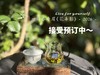 【2026春茶预订】2026一级春寿眉《花弄影》，茶友bi入款，鲜香到极致、花香到极致，香清气长！ 商品缩略图0