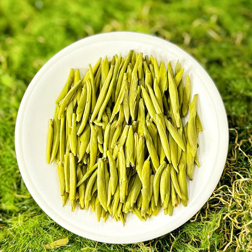 早春雀舌 商品图4