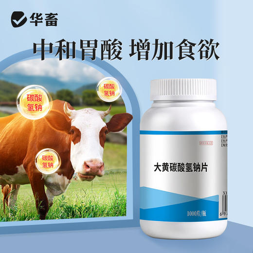 华畜大黄碳酸氢钠片1000片 健胃促消化 清热泻火 中和胃酸 增加食欲 商品图2