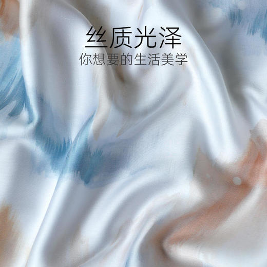 【代发】60s花色天丝款 蓝铂四件套春夏款成人花色冰丝床上用品（尺寸为被罩尺寸） 商品图2