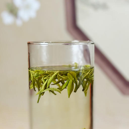 五星晓露鲜白茶5000 商品图3