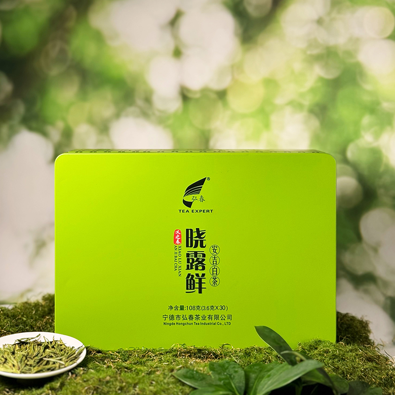 晓露鲜白茶义之春