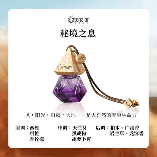 阿迪纳兰车载香薰10ML 酒店禅茶挂件车内香水清新汽车白茶桂花香氛 商品图5