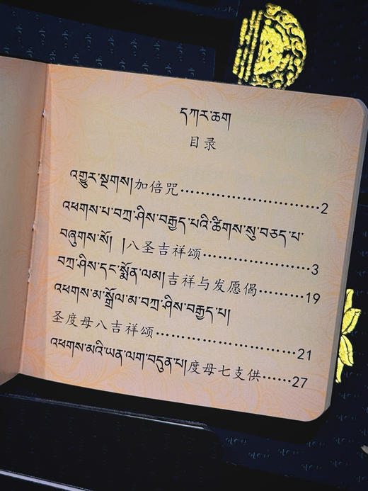 随身口袋本皮套二十一度母赞文化纪念卧室家用精装绿色便携式 商品图2