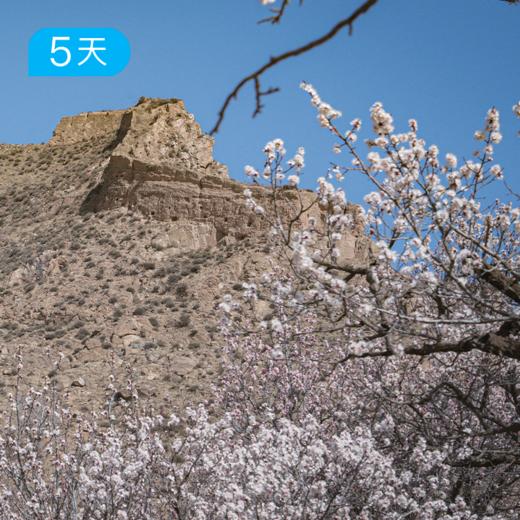长城杏花徒步节｜36公里轻徒步 5日 商品图4