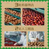 新疆大枣夹大核桃 280g/包 疆果果 大坚果 商品缩略图2
