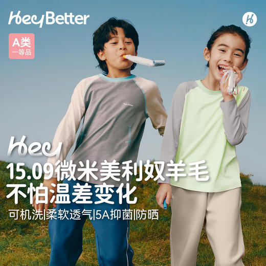 【HeyBetter】美利奴羊毛T 商品图0
