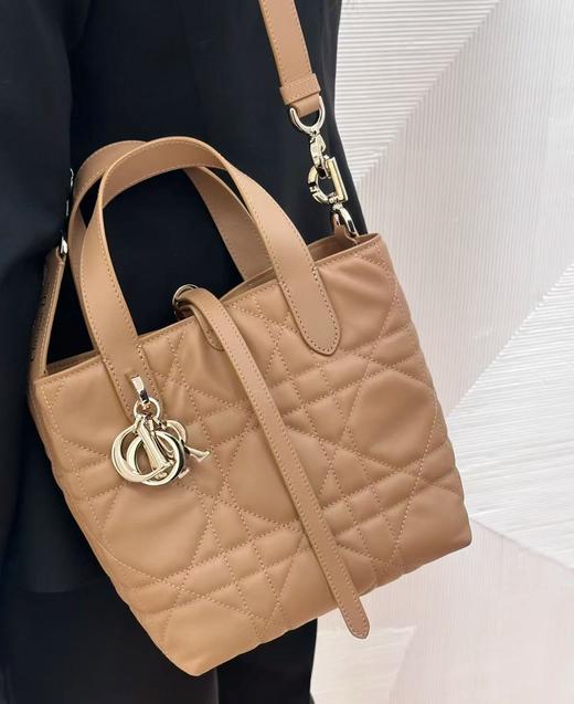 迪奥 25早春新品 土著 Toujours竖版手袋（灰灰） 商品图12