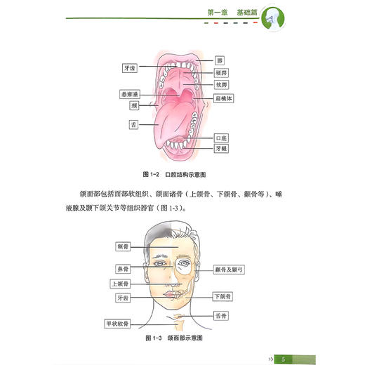 口腔颌面头颈肿瘤管理手册 健康中国 疾病管理丛书 张陈平 全方位立体介绍口腔颌面头颈肿瘤的管理及基本常识 科学技术文献出版社 商品图4