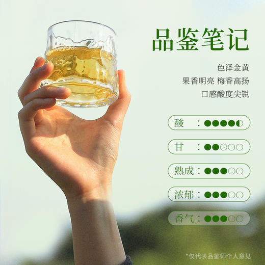 超酸梅见青梅酒果酒12度330ml*6女士低度酒原味甜酒微醺梅子酒晚安酒 商品图4