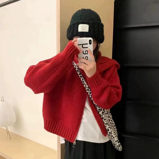 多色连帽双拉链基本款毛衣开衫纪念日百货门店同款169453355 商品图6