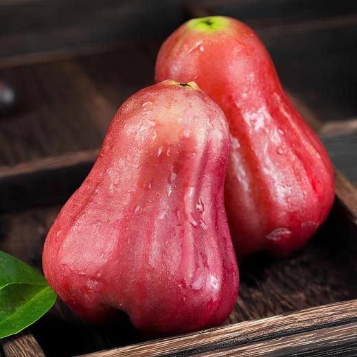 果岭菁礼 海南三亚有机黑金刚莲雾 清甜脆爽多汁新鲜应季仙女果水果 顺丰包邮 商品图2