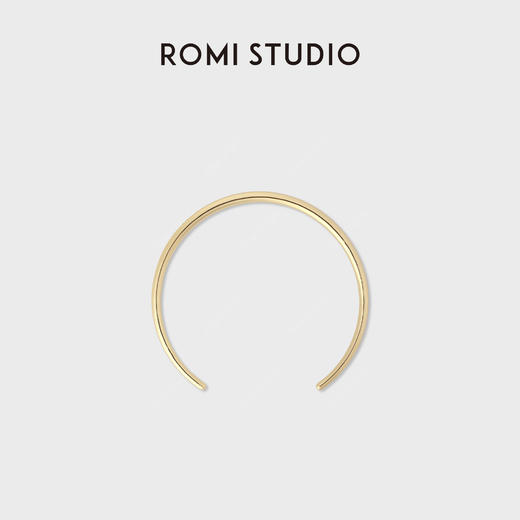 铜合金项链“高品质”百搭气质脖颈项圈RWCLP37110 商品图0