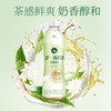 统一阿萨姆茉莉奶绿 500ml*15瓶 商品缩略图1