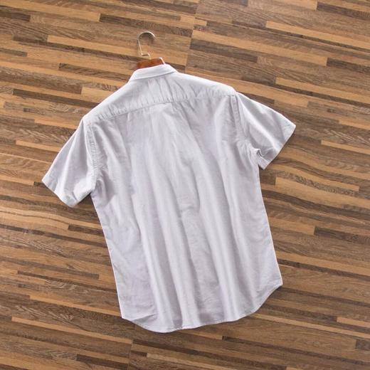 战马短袖 商品图7