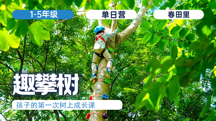 周末营  |「趣攀树」做一个勇敢向上的少年