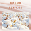【代发】蓝铂定制成人四件套磨毛款/四季款100支全棉（此链接不可床单改床笠） 商品缩略图9