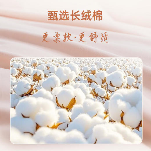 【代发】蓝铂定制成人四件套磨毛款/四季款100支全棉（此链接不可床单改床笠） 商品图9