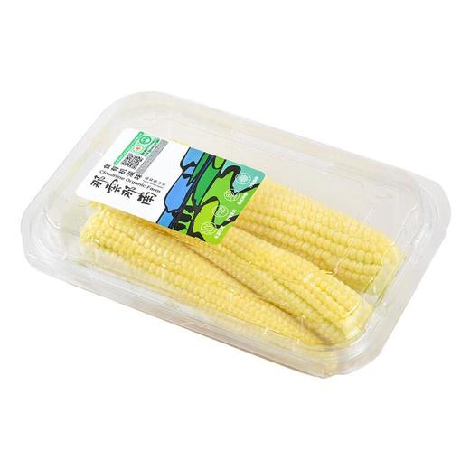 那云那南有机玉米笋200g 商品图4