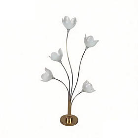 5头郁金香花影路引（运费自理）