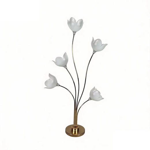 5头郁金香花影路引（运费自理） 商品图0