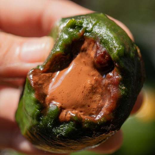 【下单后72小时发货】艾草嘟嘟 青团70g*6个/盒，口味有：柴火豆沙、纯纯芝麻、可可巧心、绵绵鲜奶、春笋六鲜、蛋黄肉松 商品图6