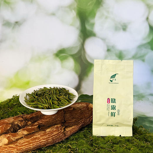 晓露鲜白茶信之春 商品图3