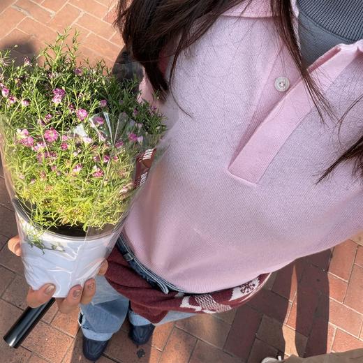 ROMI STUDIO100%澳洲羊毛高弹polo领半开扣粉色毛衫/POLO领上衣RWDSST2831 商品图6