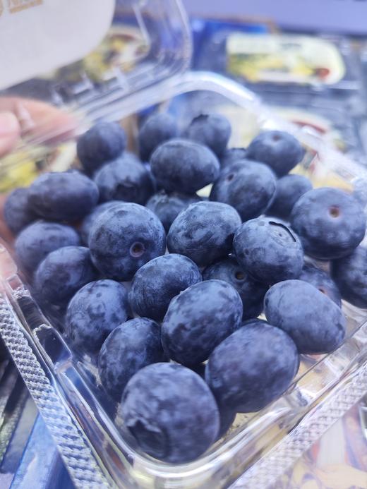 大颗粒花香蓝莓，软糯甜非脆甜，硬度很好 果粉足，富含花青素，改善视力，汁多味美，个人口感问题不退换 商品图0