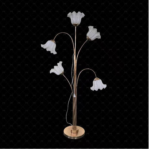 5头美人花路引（运费自理） 商品图0