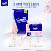 得宝（Tempo）软抽纸樱花香味4层90抽4包抽纸餐巾纸（新旧款随机发） 商品缩略图4
