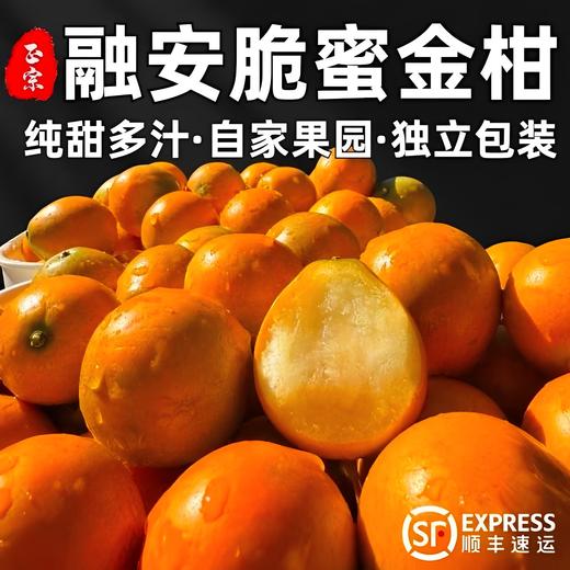 果岭菁礼 融安脆蜜金柑三代 纯甜金桔新鲜带皮吃孕妇水果现摘现发 顺丰包邮 商品图2