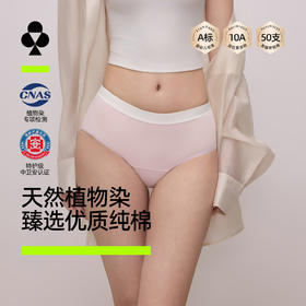 【新品上新】有棵树10A级抗菌棉质中腰女士三角内裤3条装-U4025