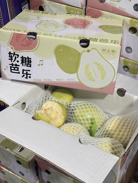 22.8元一件福建奶油芭乐一箱4-6粒毛重约3斤