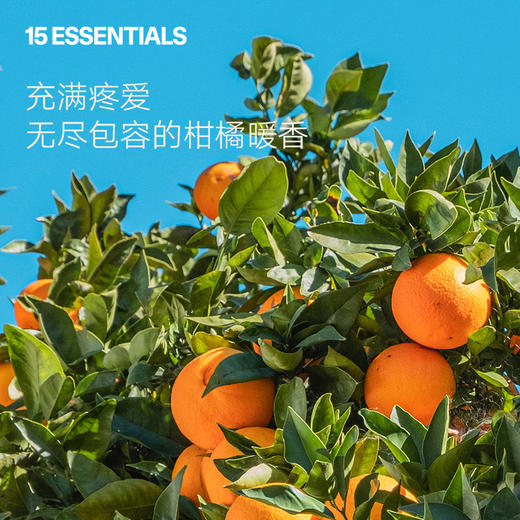 15 ESSENTIALS 红橘精油(红橘精油10ml+身体润肤油120ml*2) 商品图2