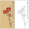 谢稚柳花鸟工笔画白描底稿《红山茶》临摹勾线高清打印稿XZ51 商品缩略图0