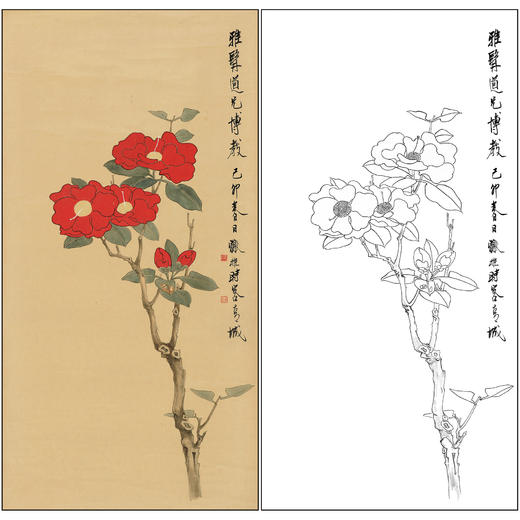 谢稚柳花鸟工笔画白描底稿《红山茶》临摹勾线高清打印稿XZ51 商品图0