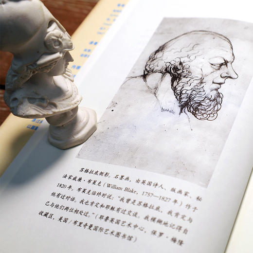 经过检视的人生：从苏格拉底到尼采 商品图3