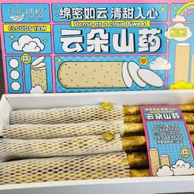 云朵山药（3斤左右）