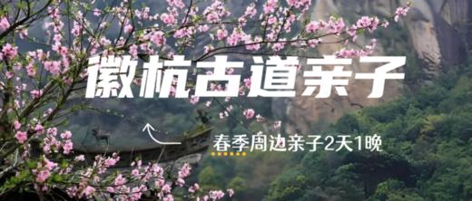 清明徽杭古道2日亲子徒步，行走千年古道寻芳/山野篝火/农家晚餐，用徒步收藏一整个春天 商品图0