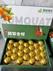 果岭菁礼 融安脆蜜金柑三代 纯甜金桔新鲜带皮吃孕妇水果现摘现发 顺丰包邮 商品缩略图5